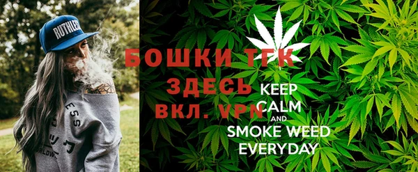 сатива Комсомольск